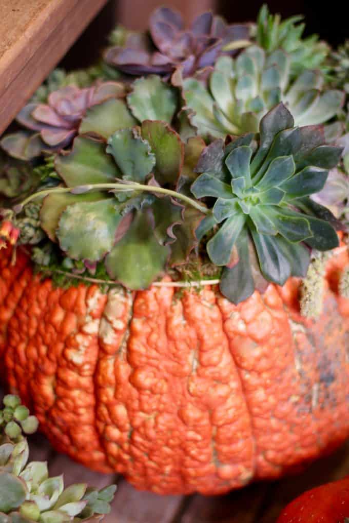 Amazing DIY ideas to help decorate your porch for fall.