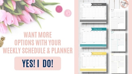 Weekly Schedule and Planner additional color options for purchase.