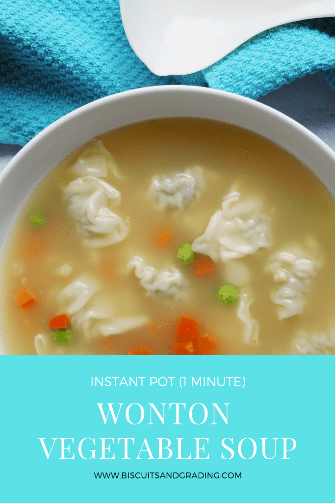 Wonton Vegetable Soup from Biscuits and Grading