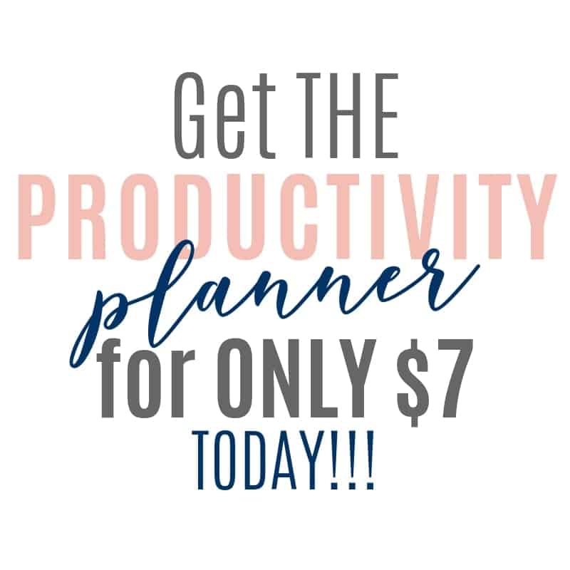 The Productivity Planner special price