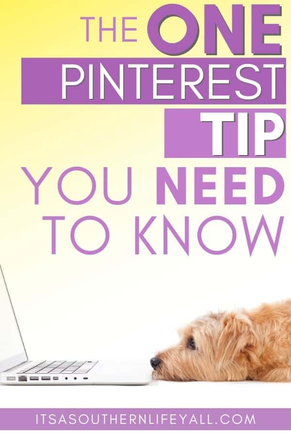 Cute dog looking at a laptop with the one Pinterest tip you need to know text overlay