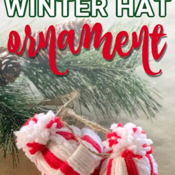 Mini Winter Hat Ornament