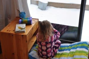 Indoor bird watching station with child. 