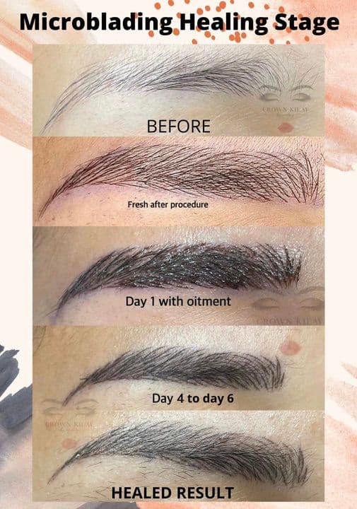 Microblading Healing Process before and after pictures timeline