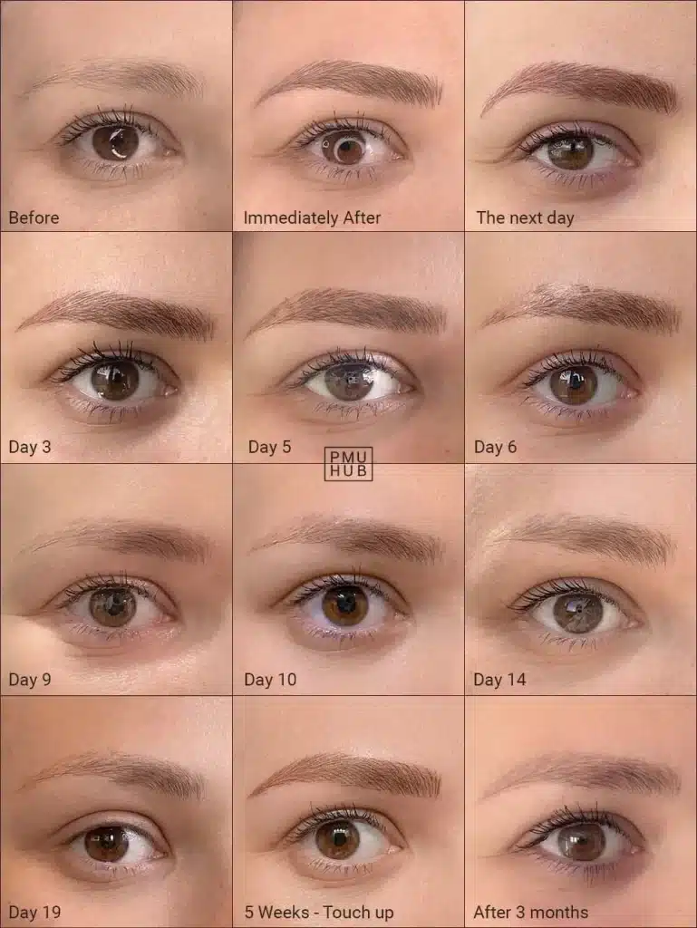 microblading healing process timeline