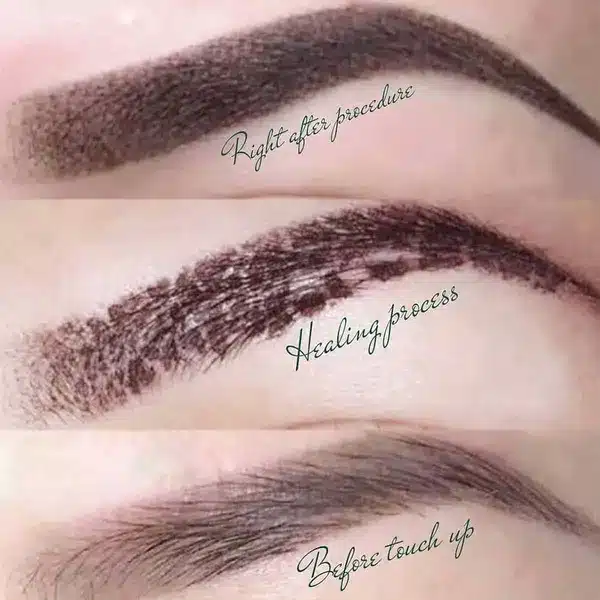 microblading healing process day by day timelines