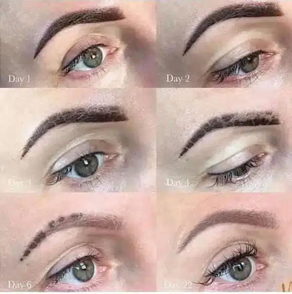 microblading healing process day by day timelines