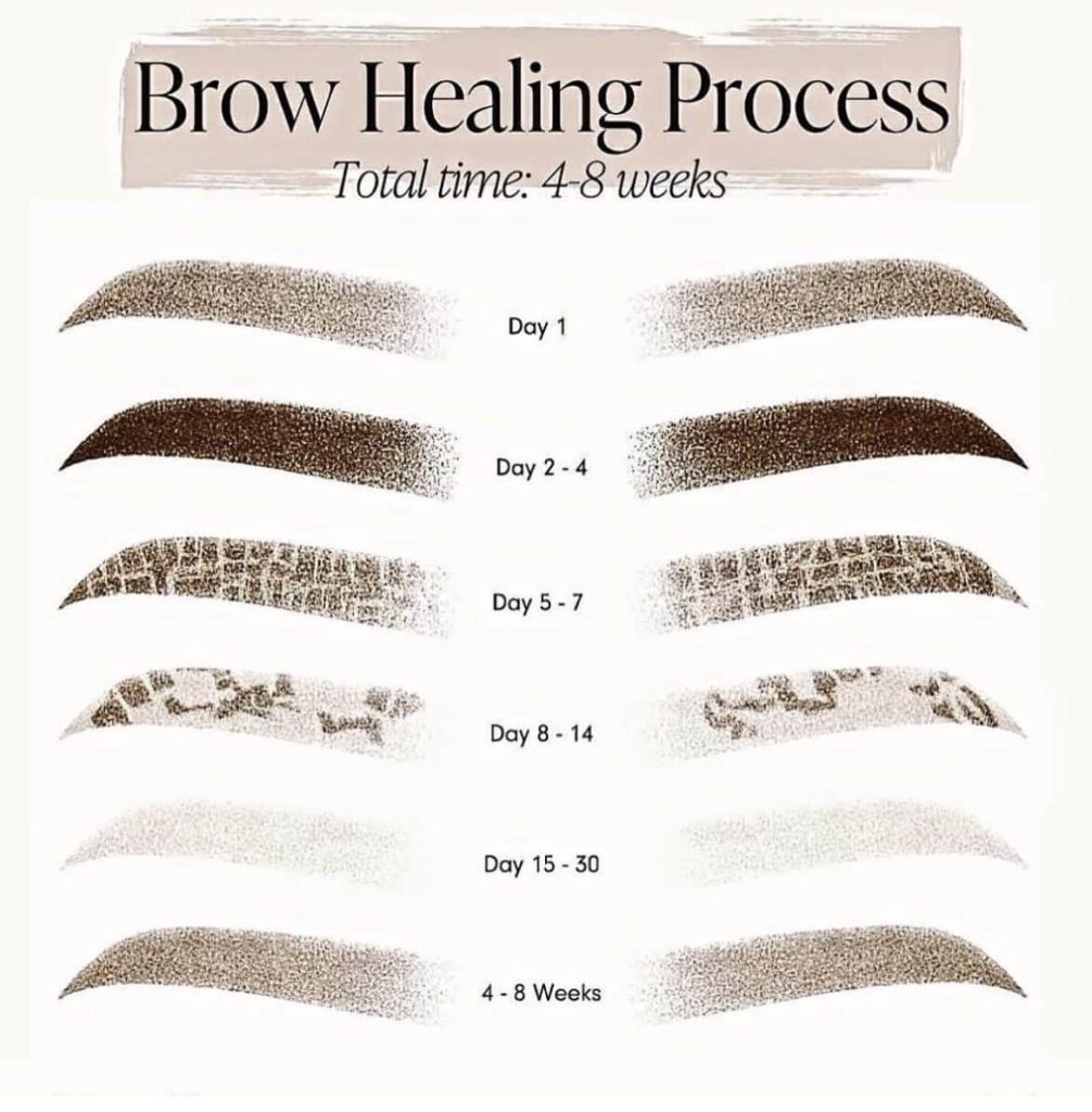 microblading healing process scabbing