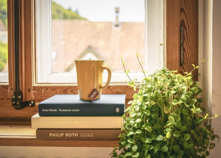 A yellow mug with a tea bag sits on top of two stacked books on a windowsill, next to a leafy green potted plant, with a wooden-framed window showing a blurred view outside.