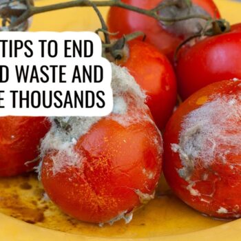 A plate of moldy, spoiled tomatoes with white fuzz, with text overlay: 11 tips to end food waste and save thousands.