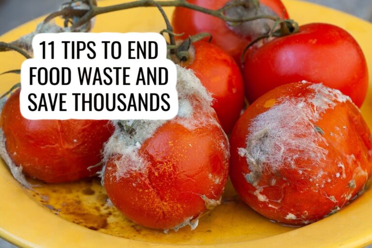 A plate of moldy, spoiled tomatoes with white fuzz, with text overlay: 11 tips to end food waste and save thousands.