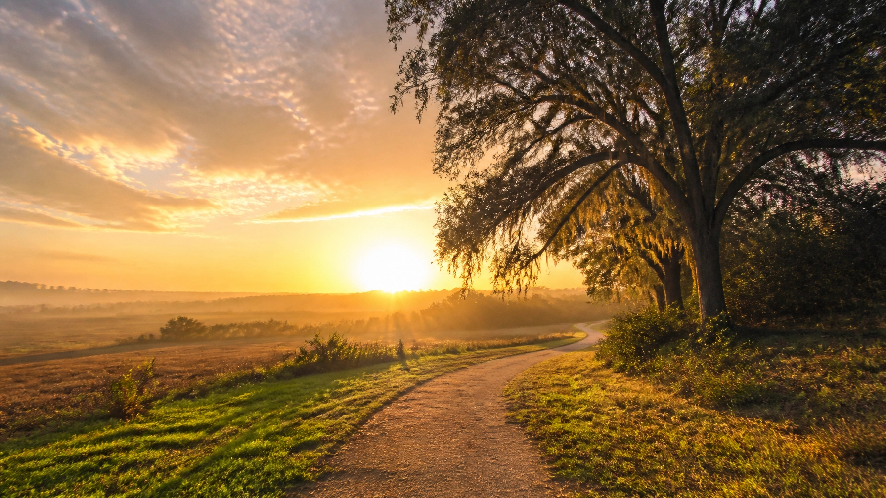 A beautiful serene southern landscape at sunrise with a winding path, soft golden light, and a calm hopeful atmosphere.