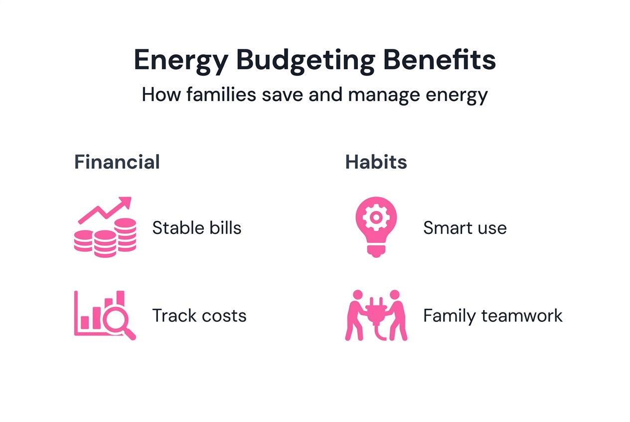 Infographic showing energy budgeting benefits