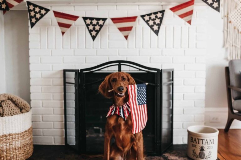 celebrate 4th of July on a budget