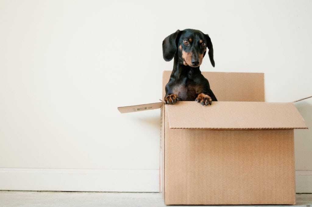 reduce housing expenses